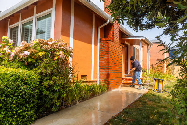 Best Pressure Washing Siding  in Clinton, WI